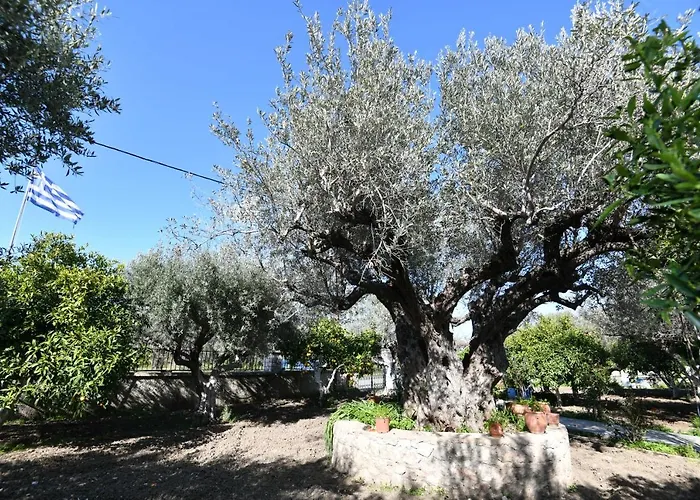 Villa Kavalino