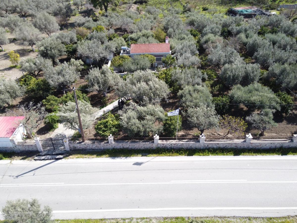 Kavalino *